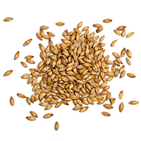 https://cervejariamacumba.com.br/wp-content/uploads/2017/05/ingredients_transparent_03.png